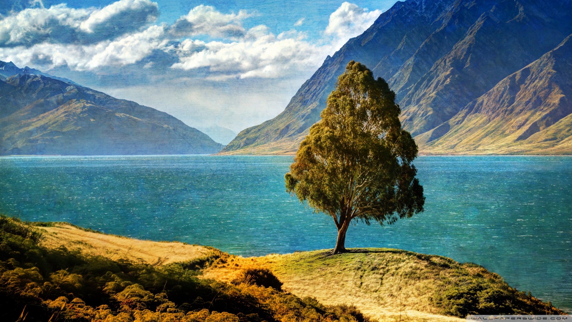 风景