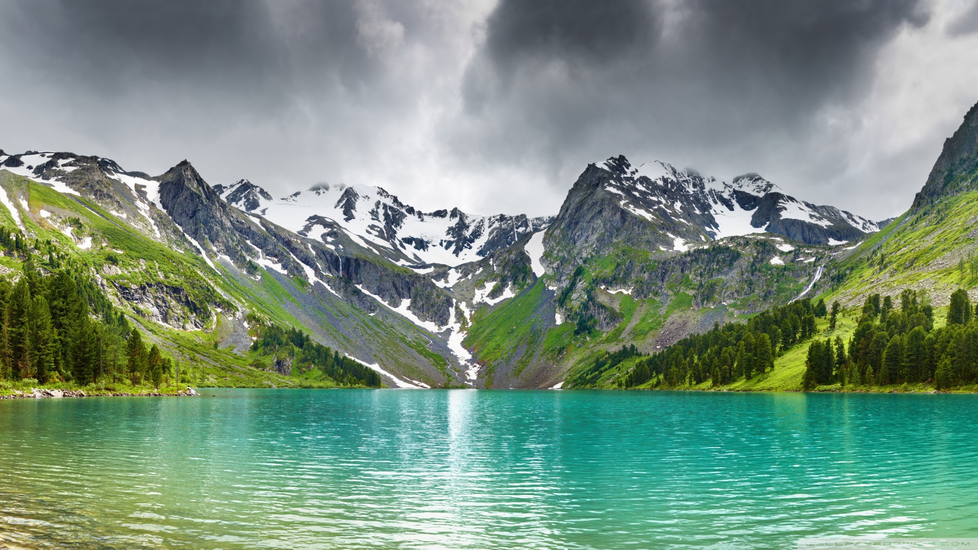 风景