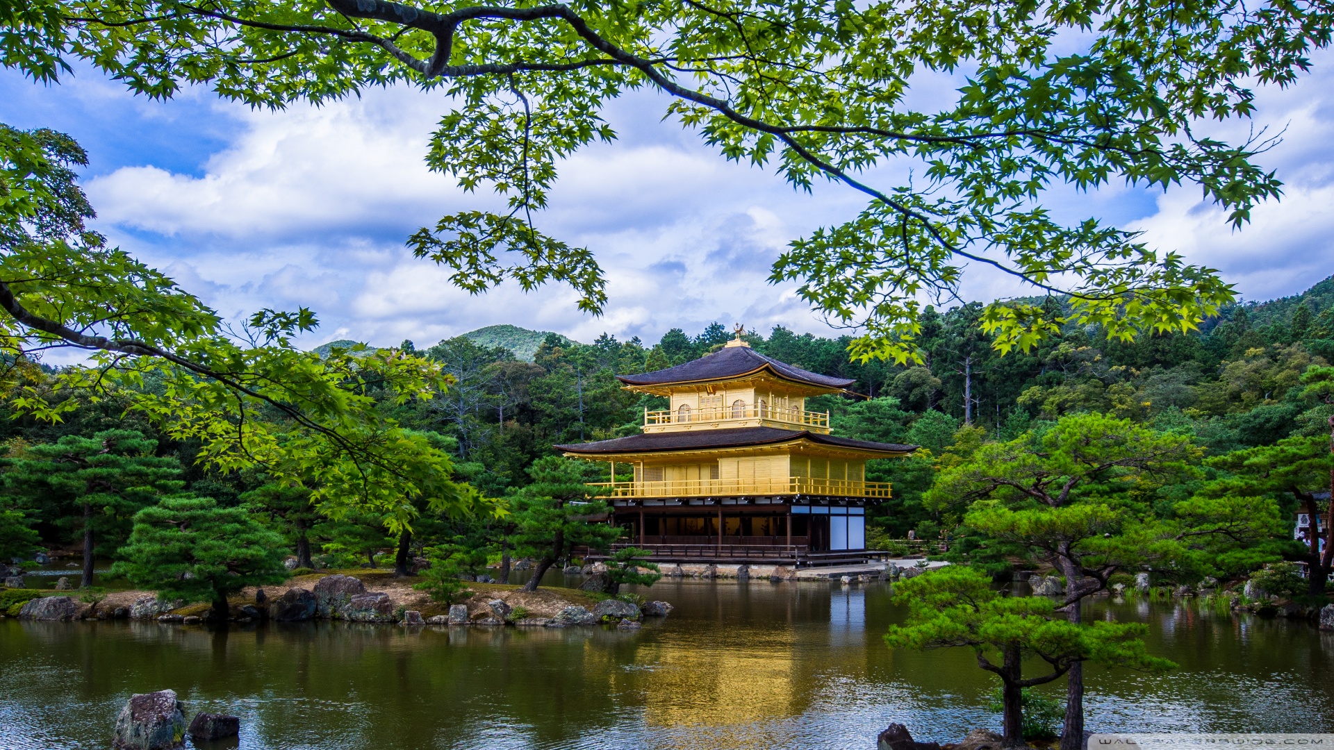 风景