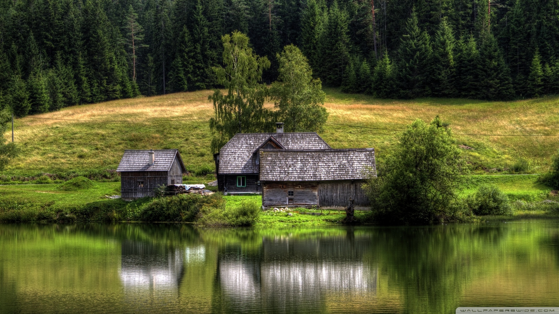 风景