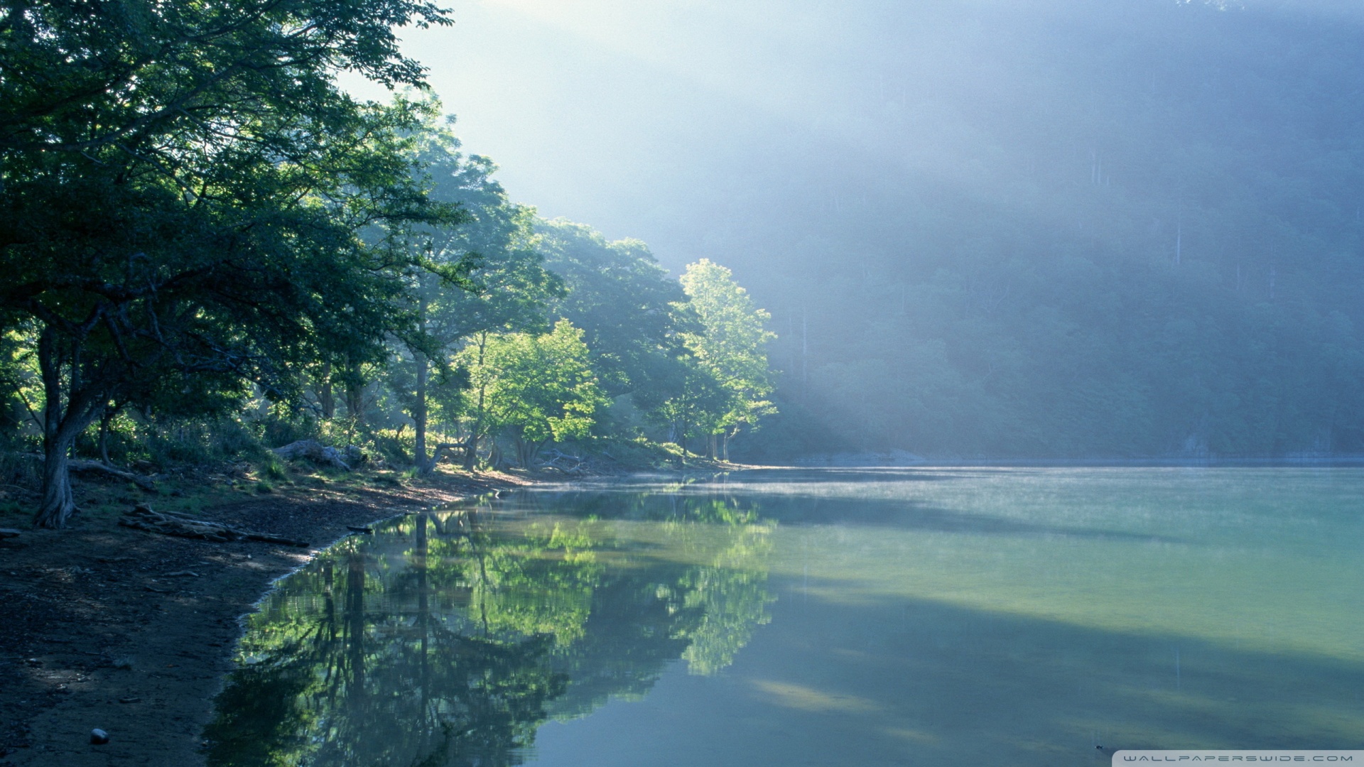 风景