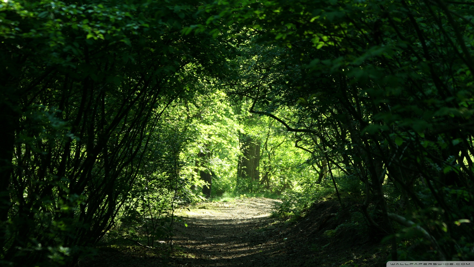 风景