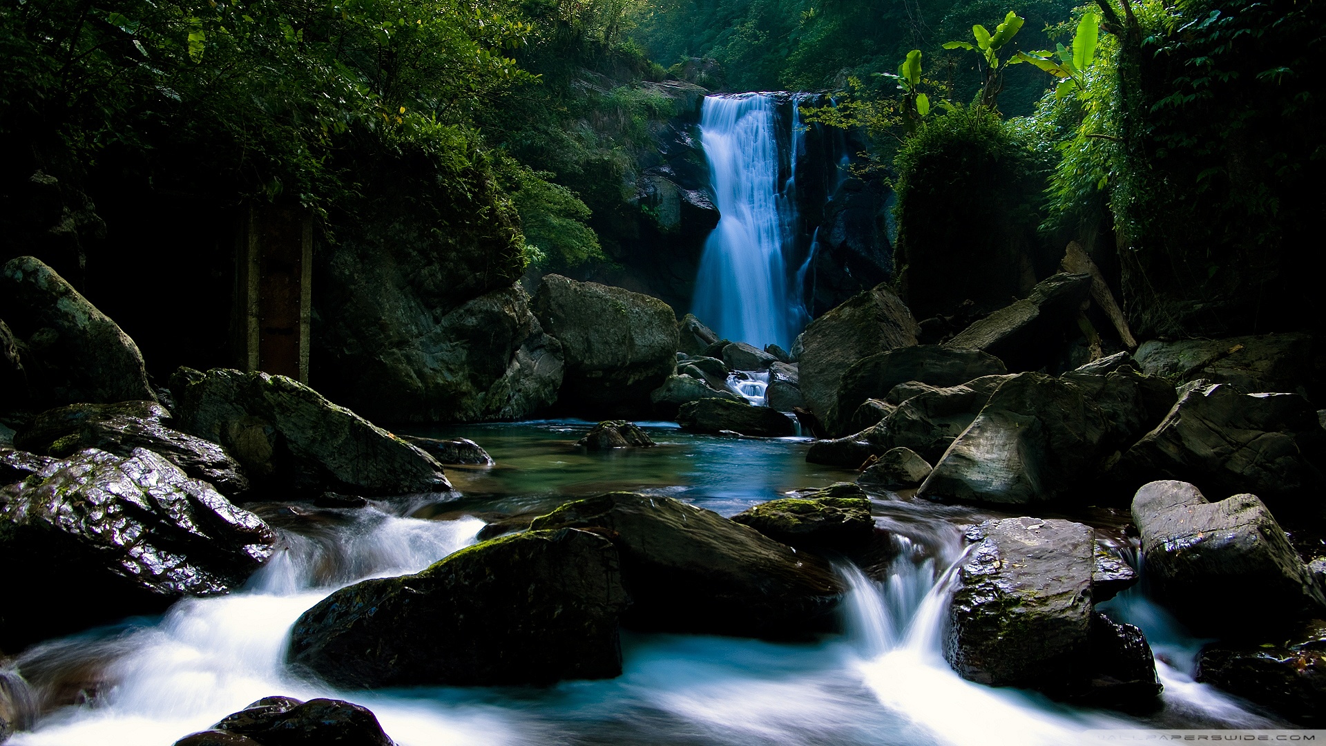 风景