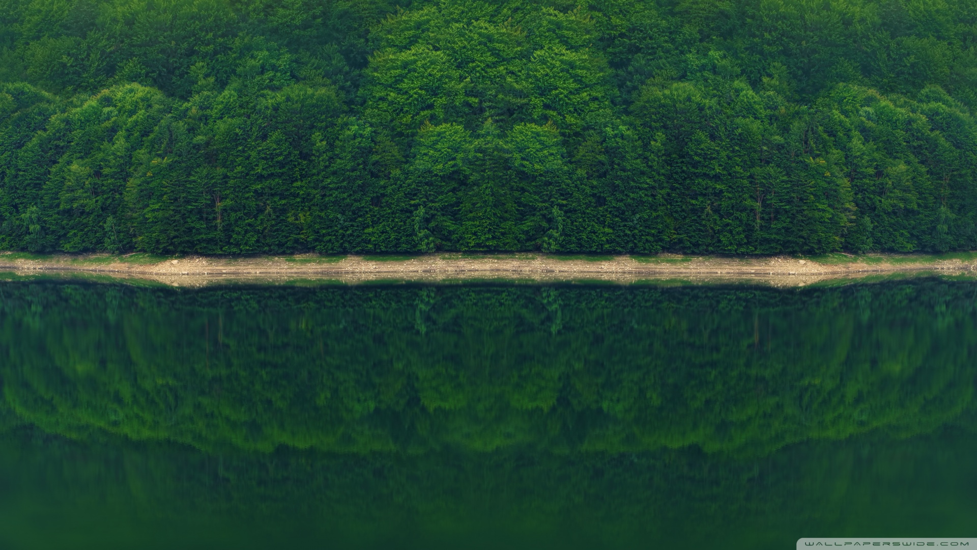 风景