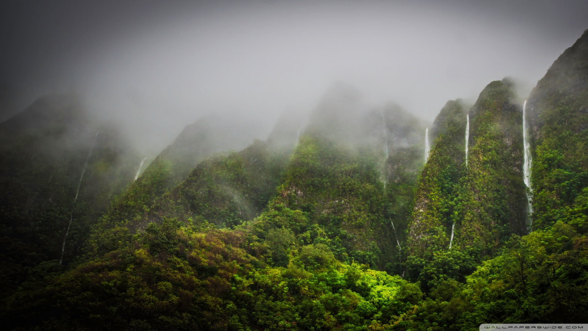 风景