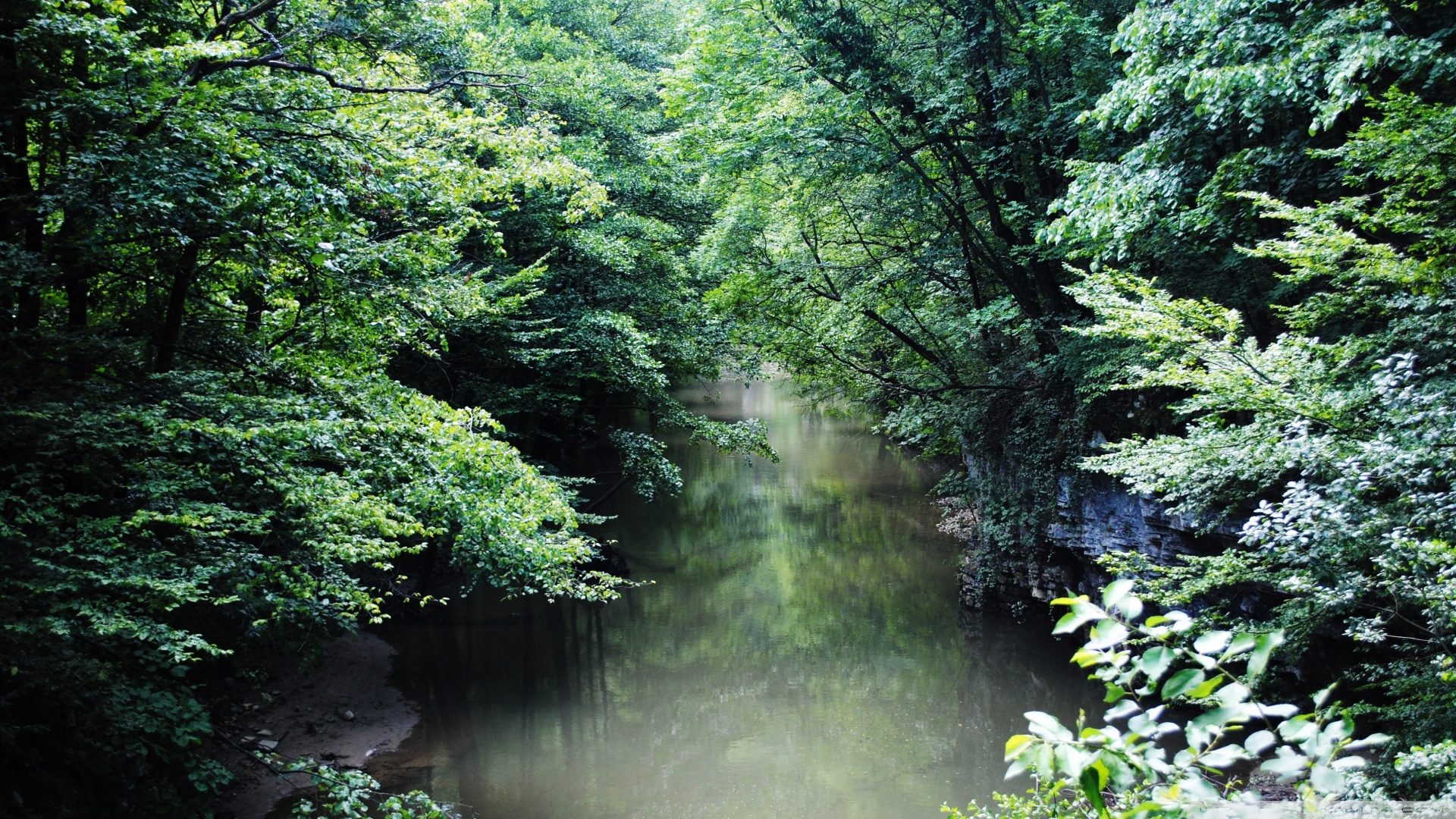 风景
