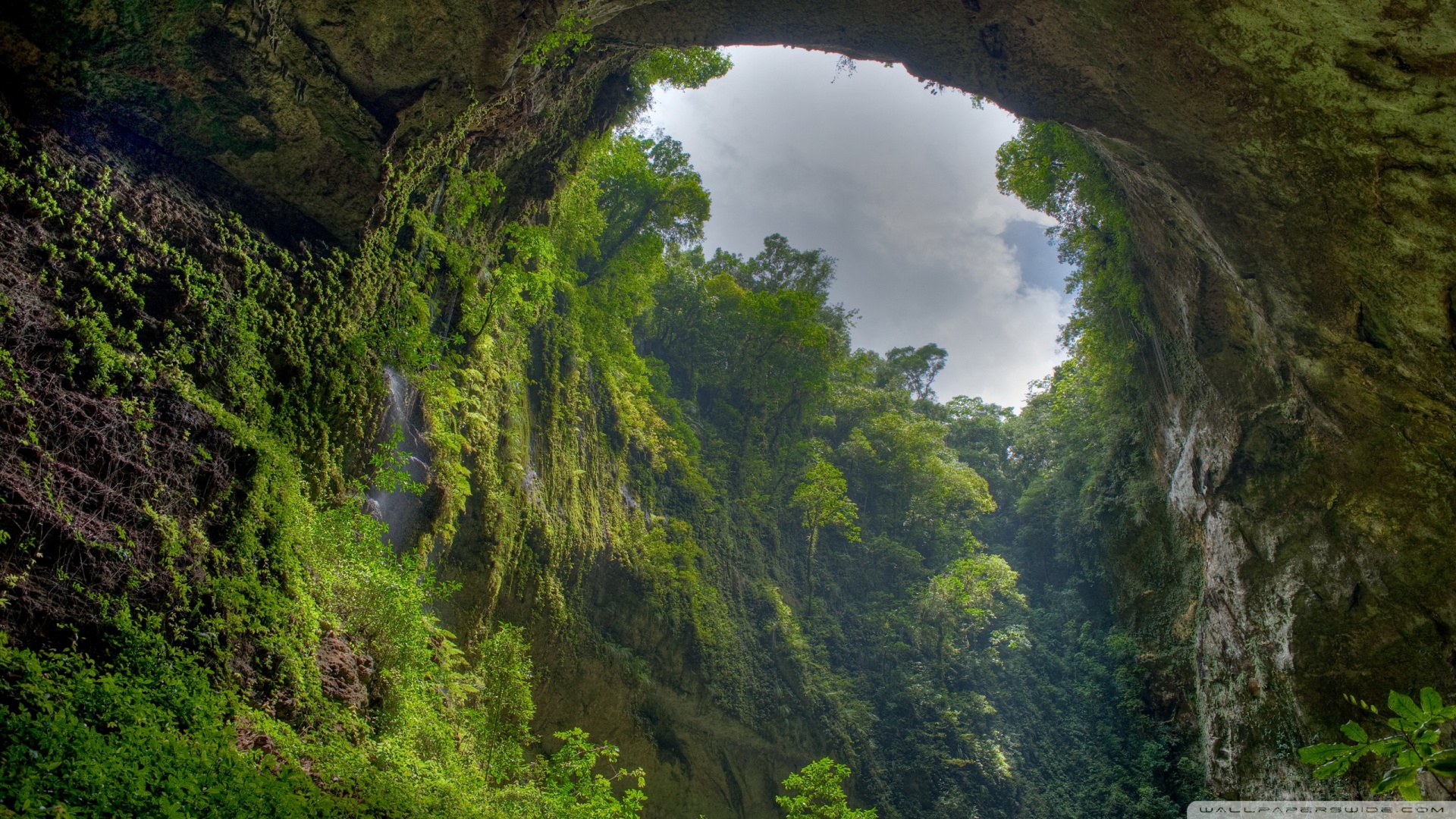 风景