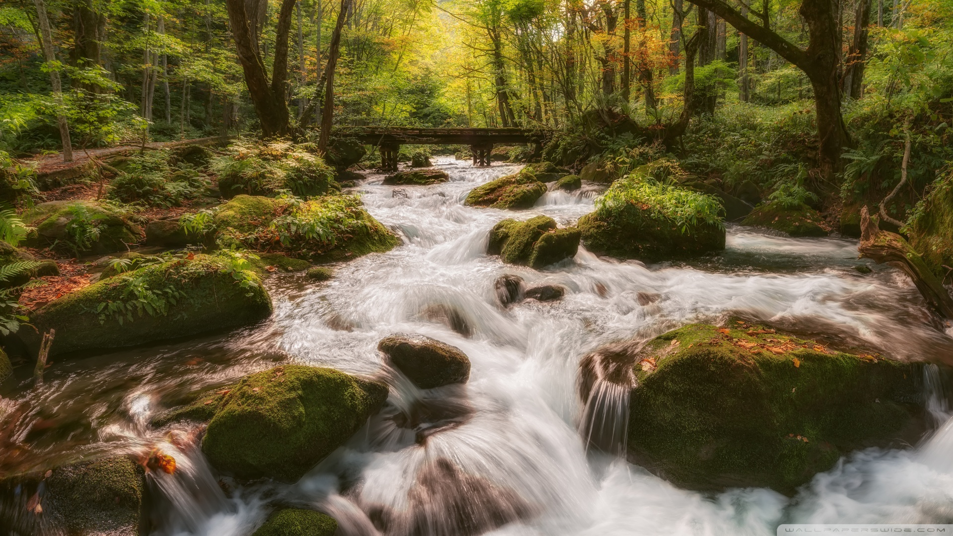 风景