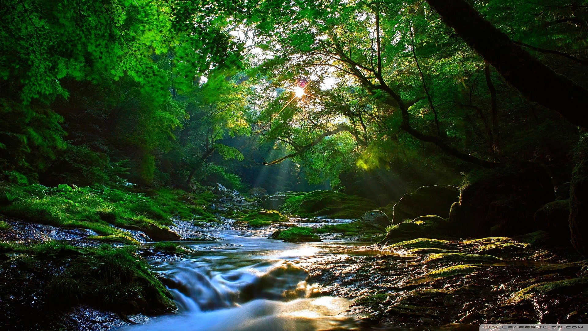 风景