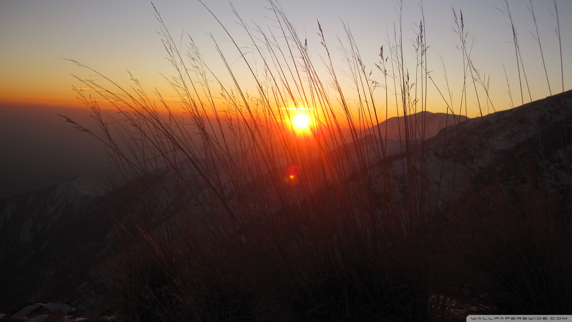 风景