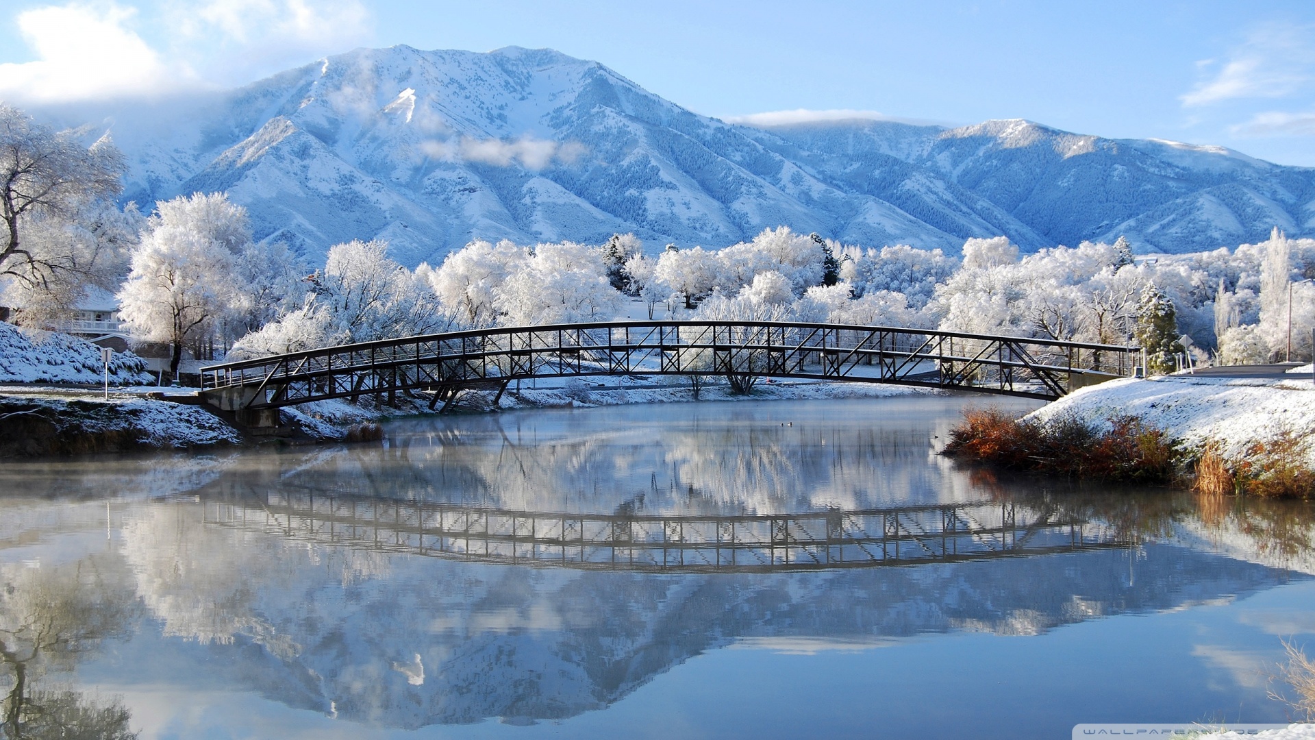 风景