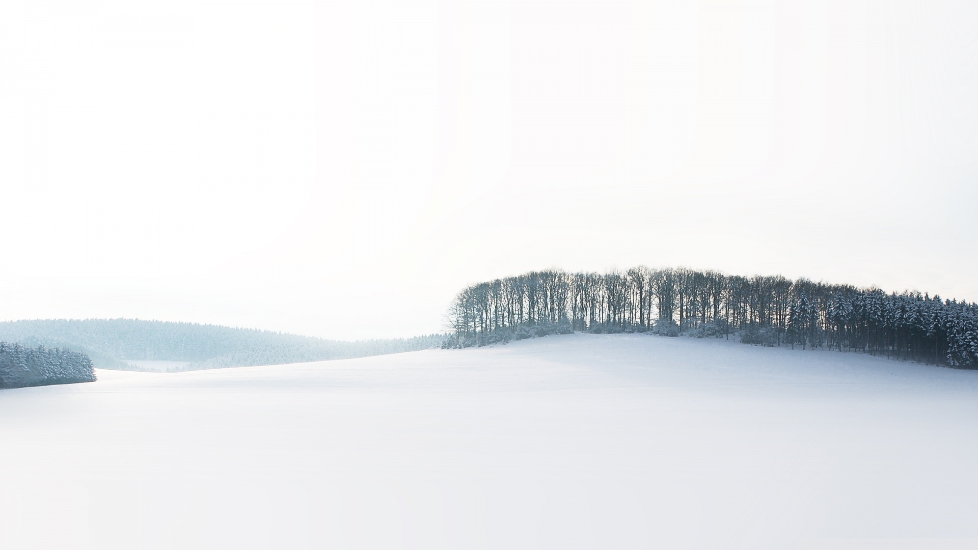 风景