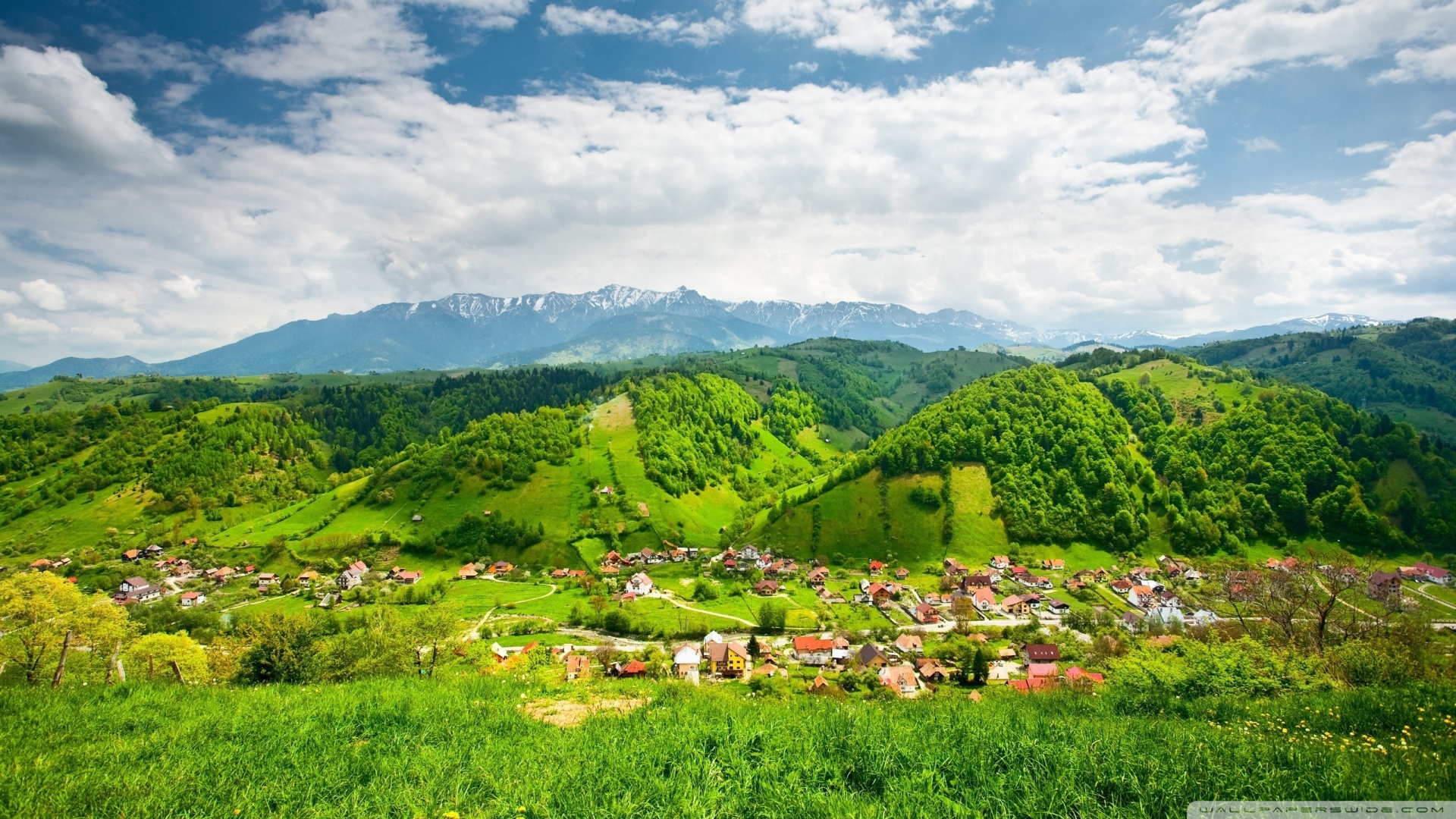 风景