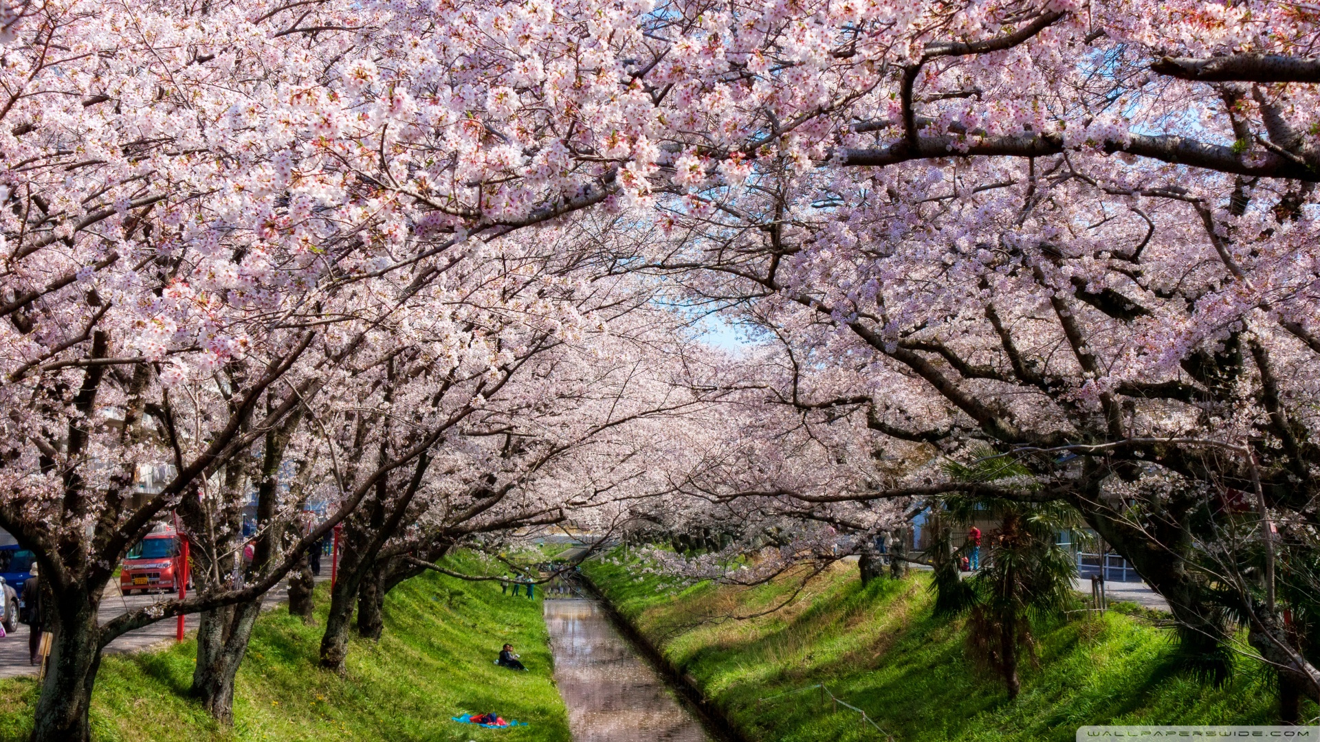 风景