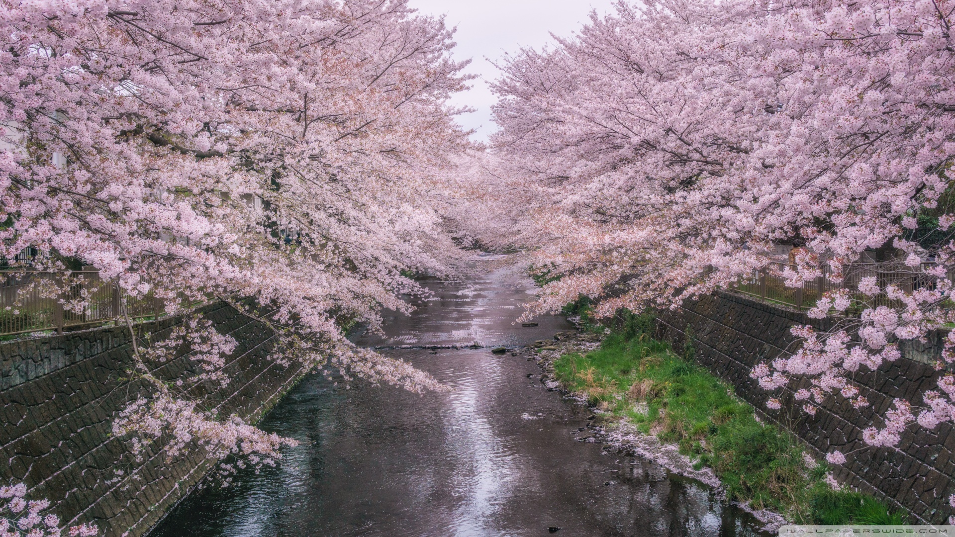 风景