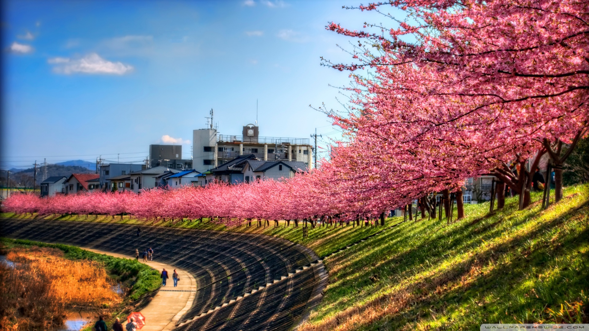 风景