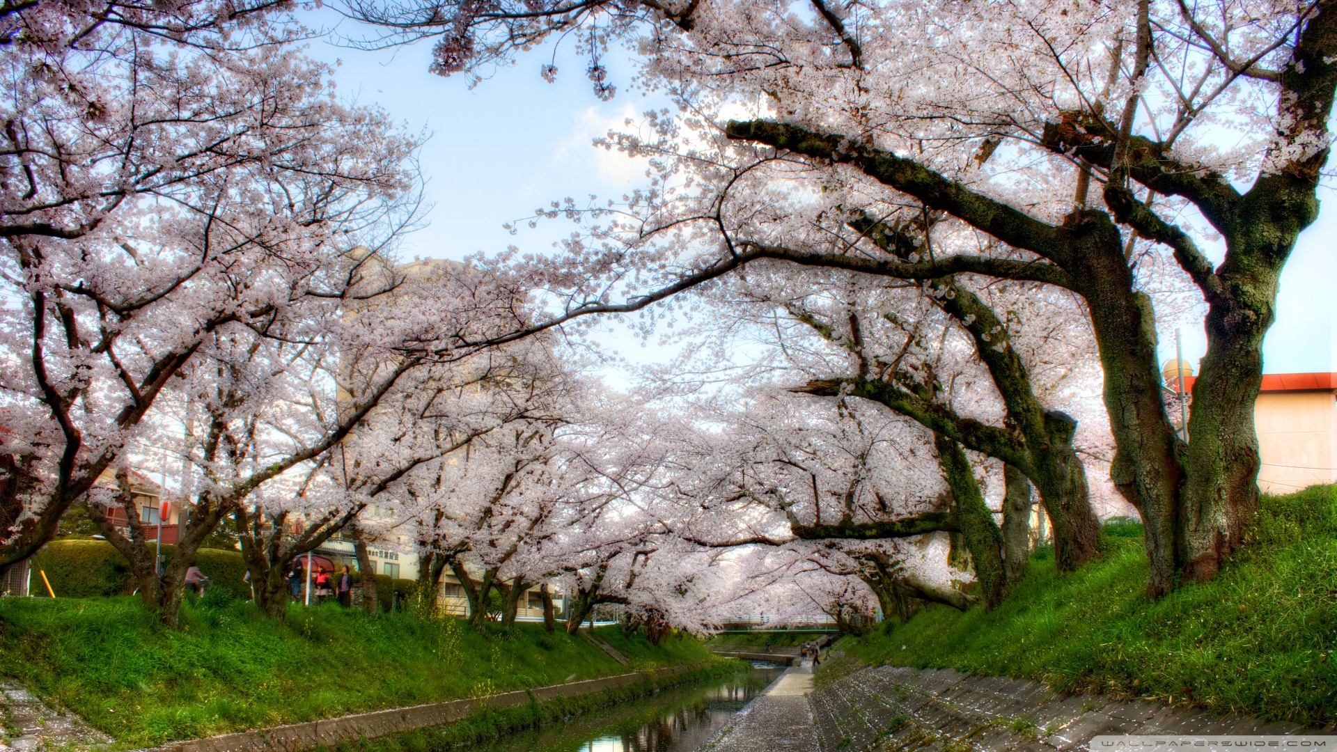 风景