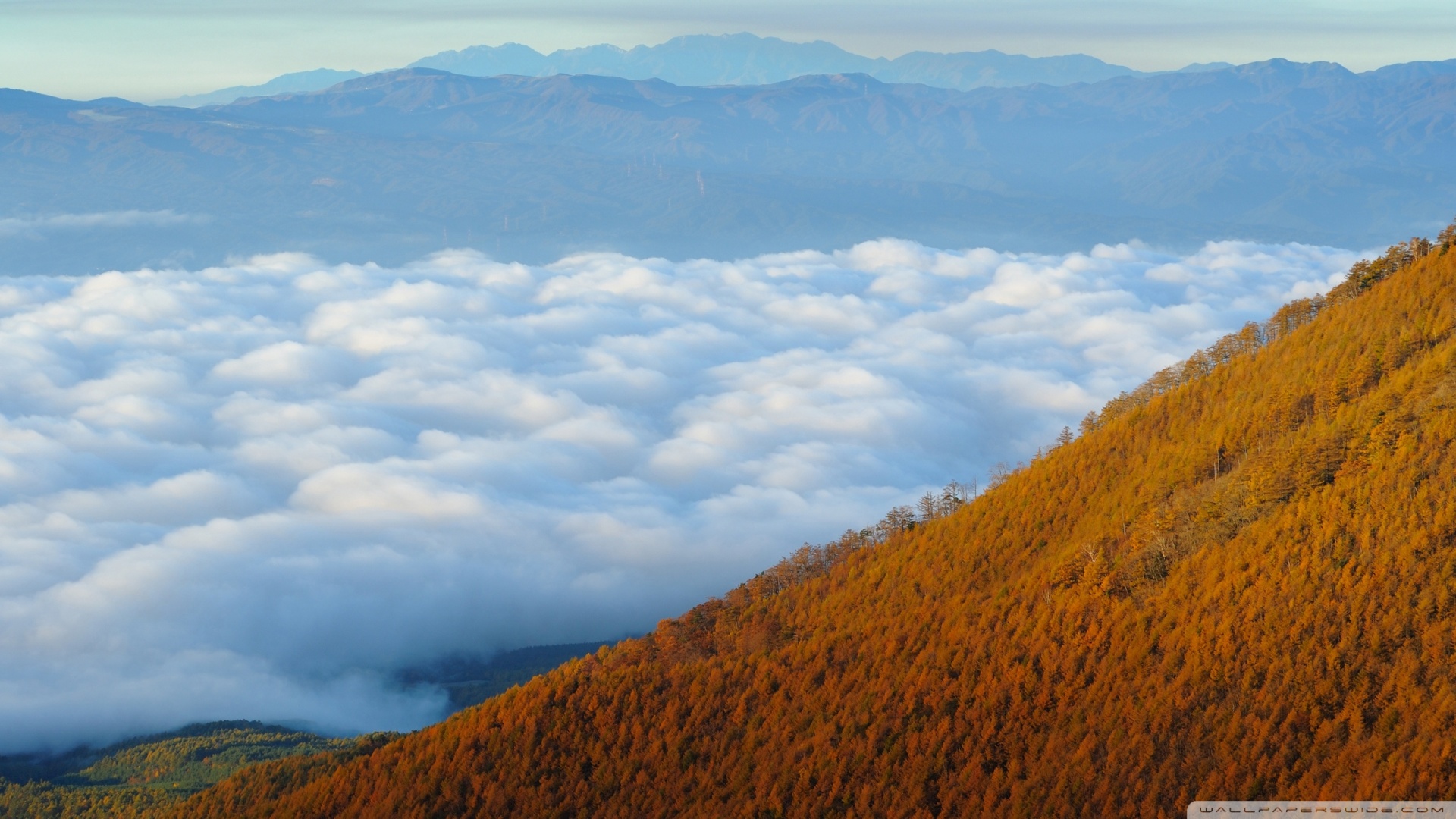 风景