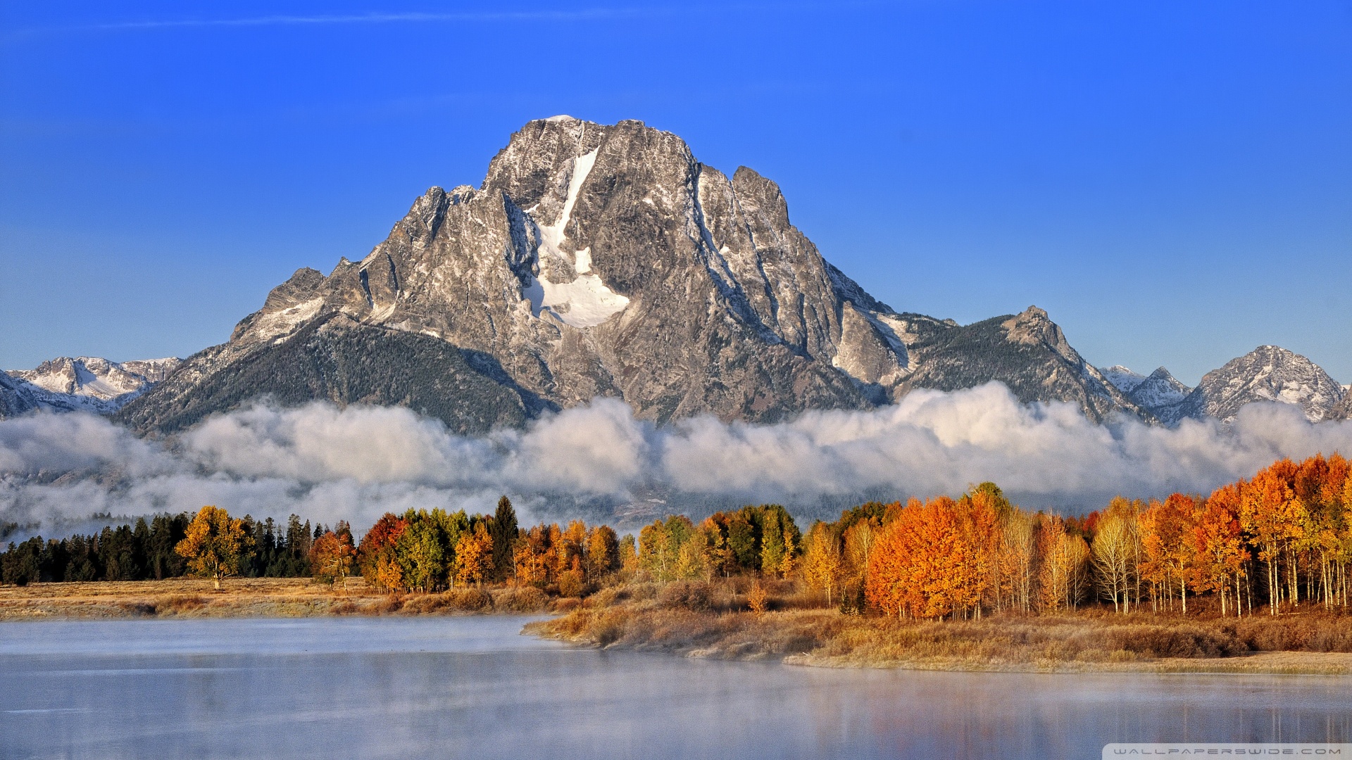 风景