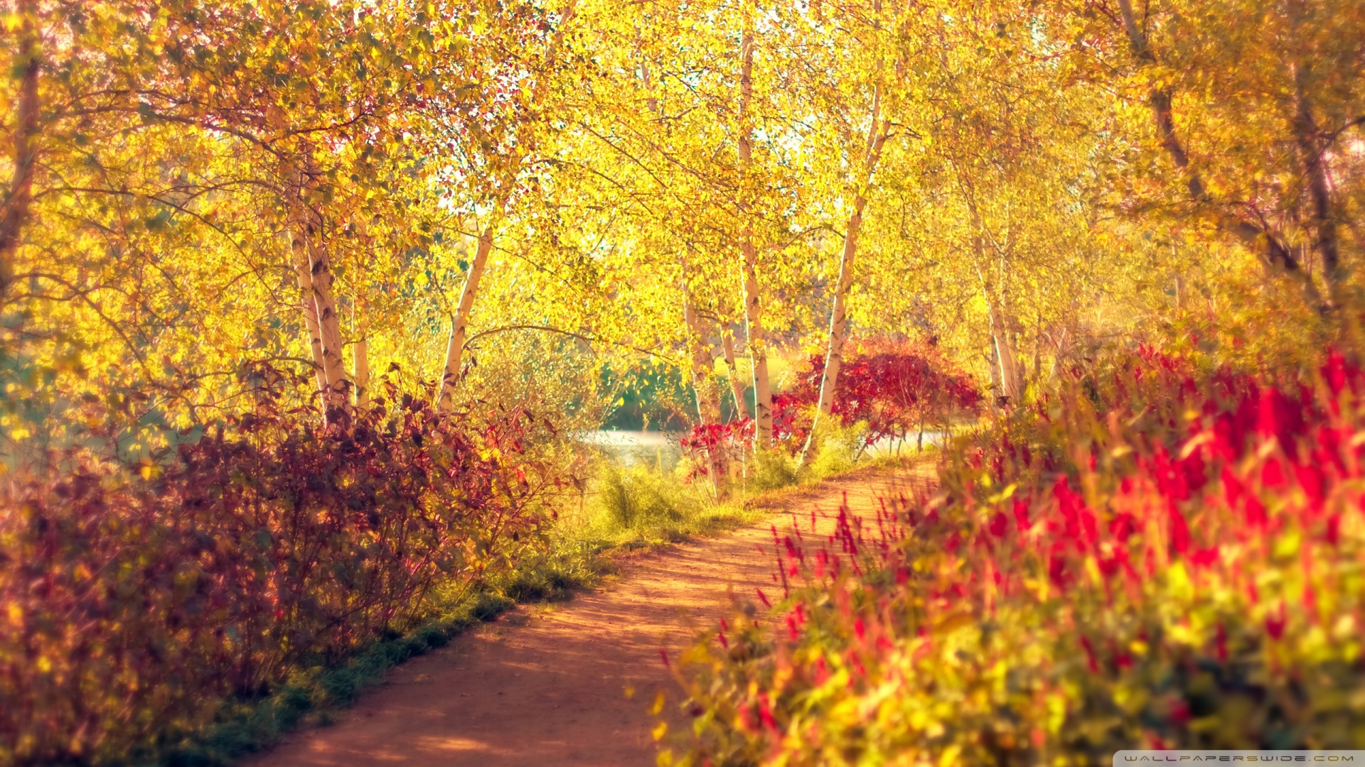 风景