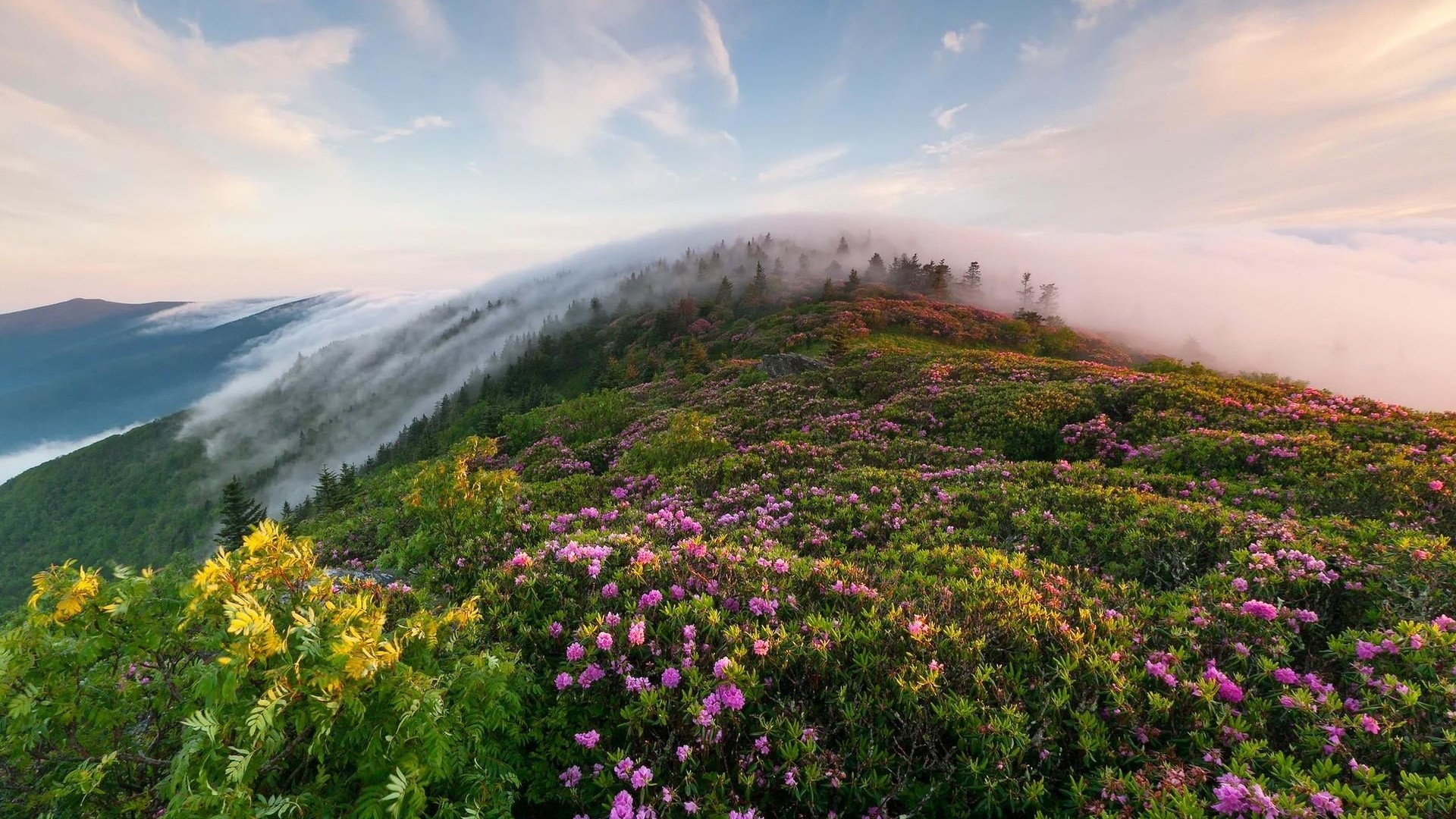 风景