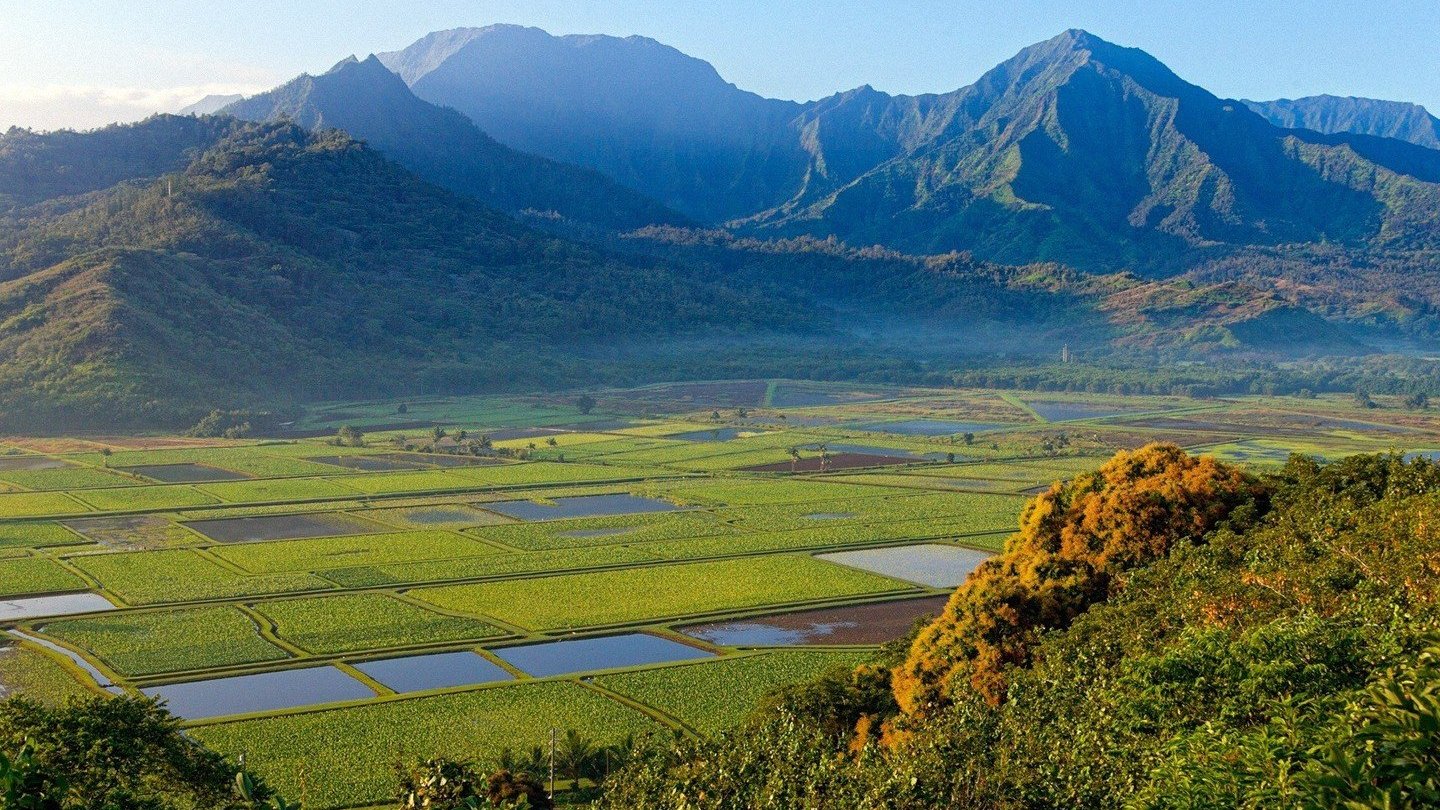 风景