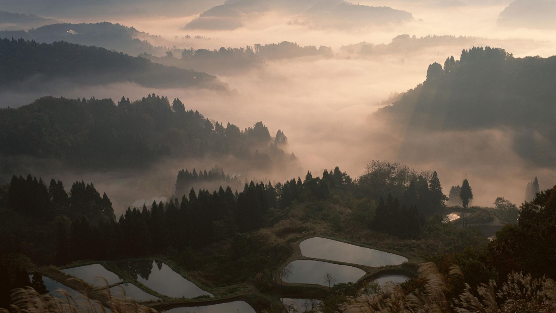 风景