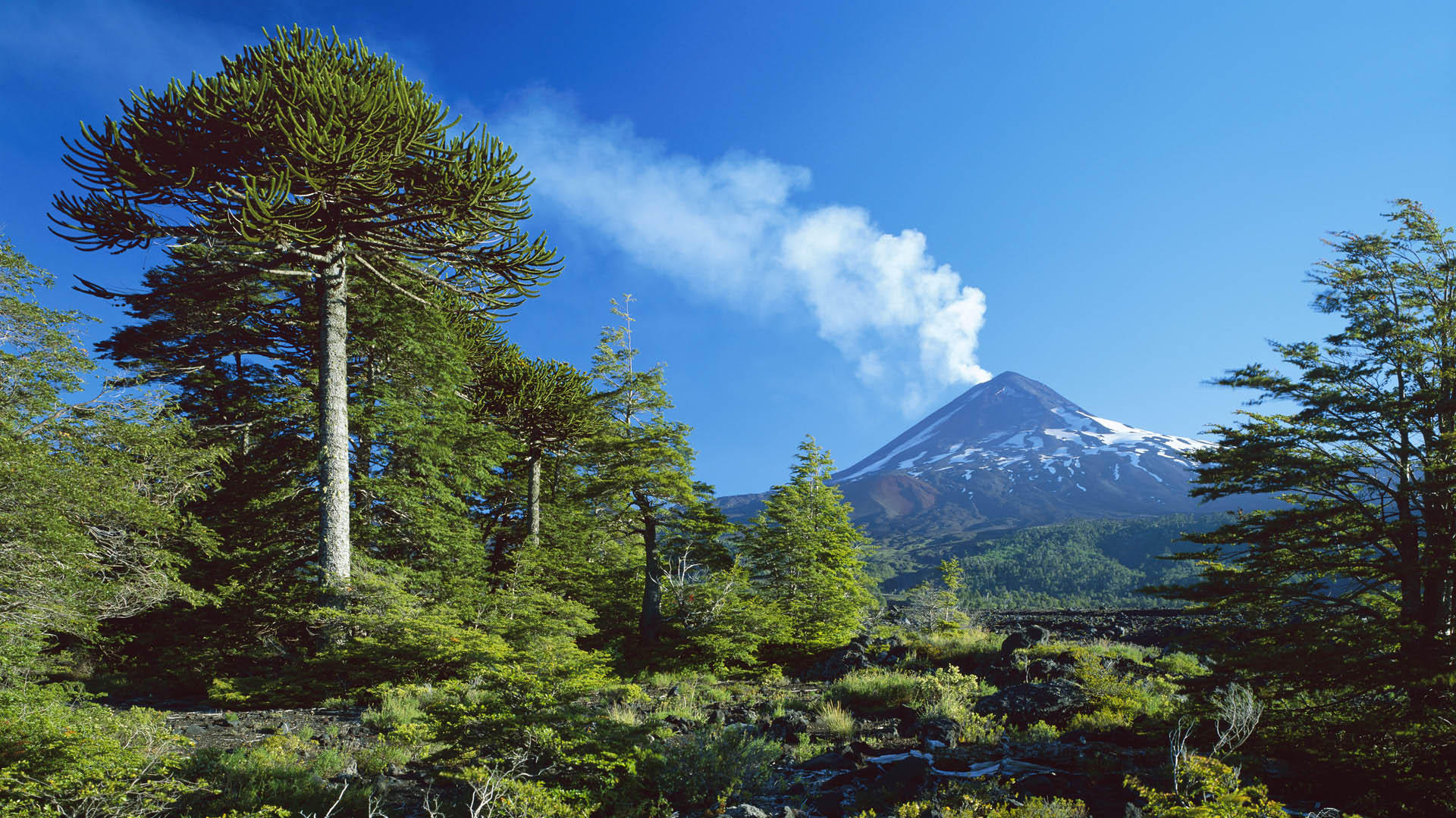 风景