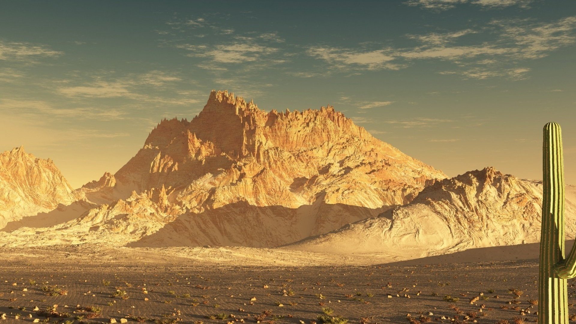 风景