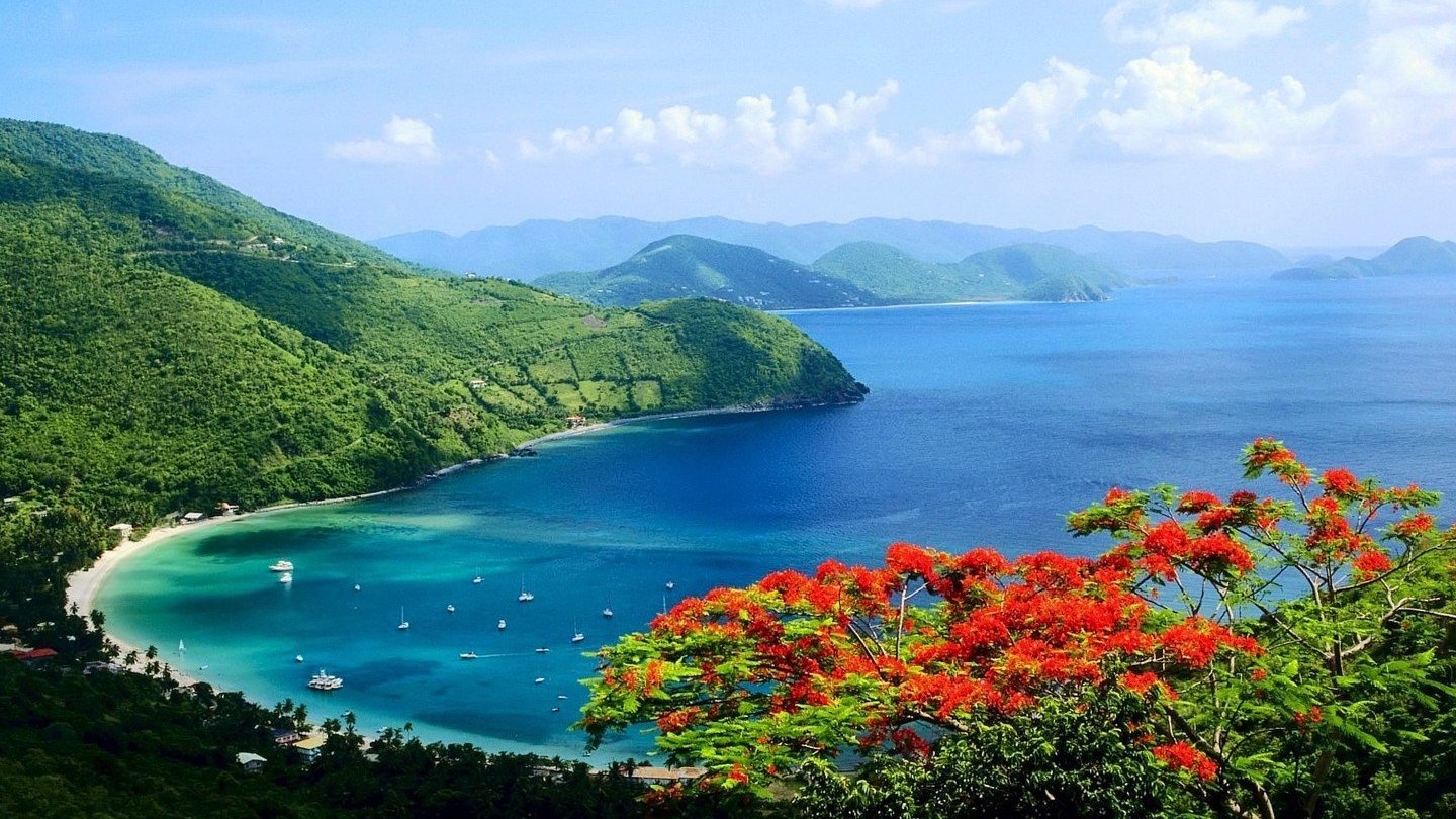风景