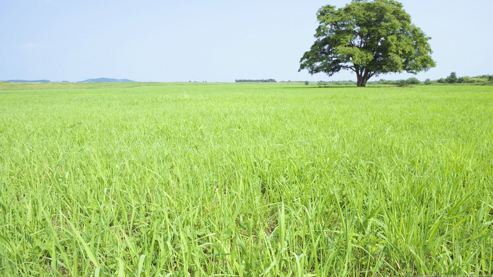 风景